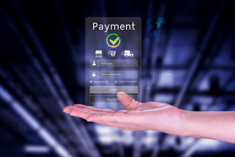 Programmable Budget